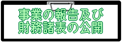 事業の報告及び 財務諸表の公開 
